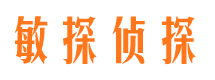 莱山市私家侦探